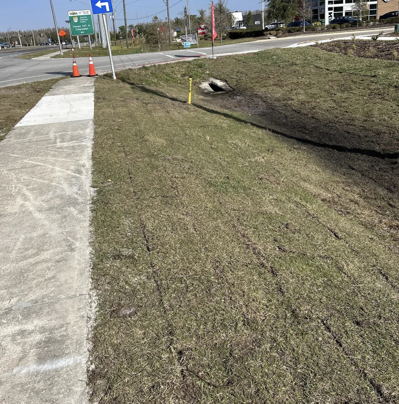 Sodded slope along a roadway